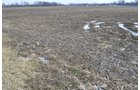 Property photo 11 - East Allen County Land Auction - 40 Acres in 2 Tracts